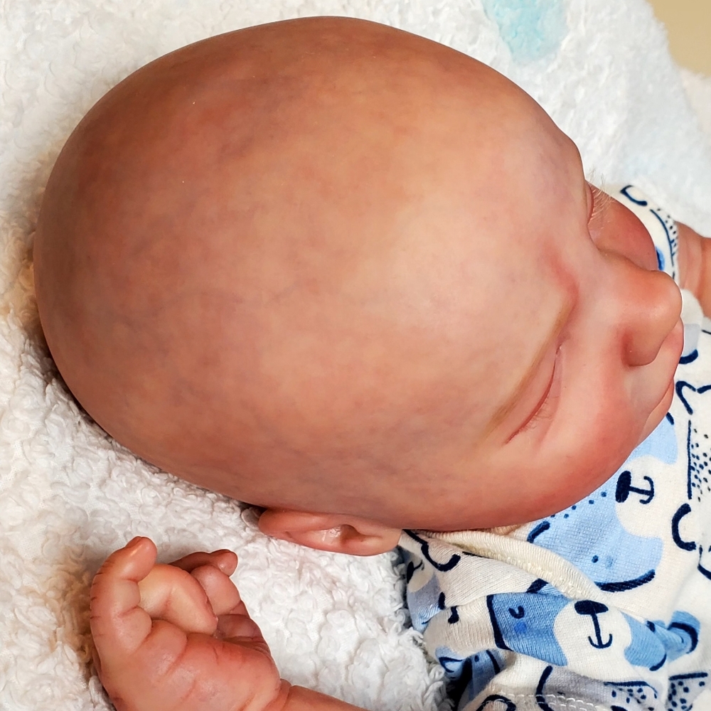 🔴🔴 SOLD 🔴🔴 - Picture 6 of 15